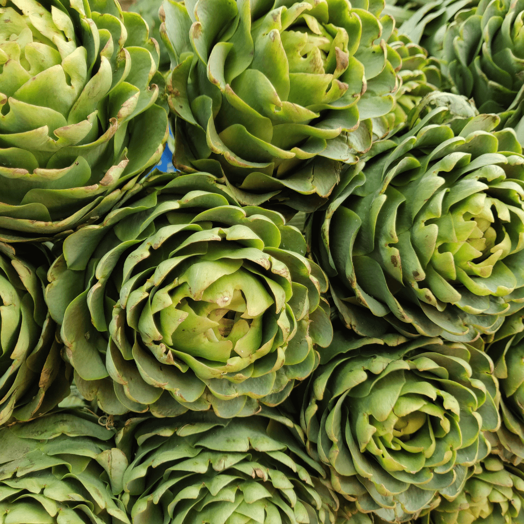 Vers van onze producenten