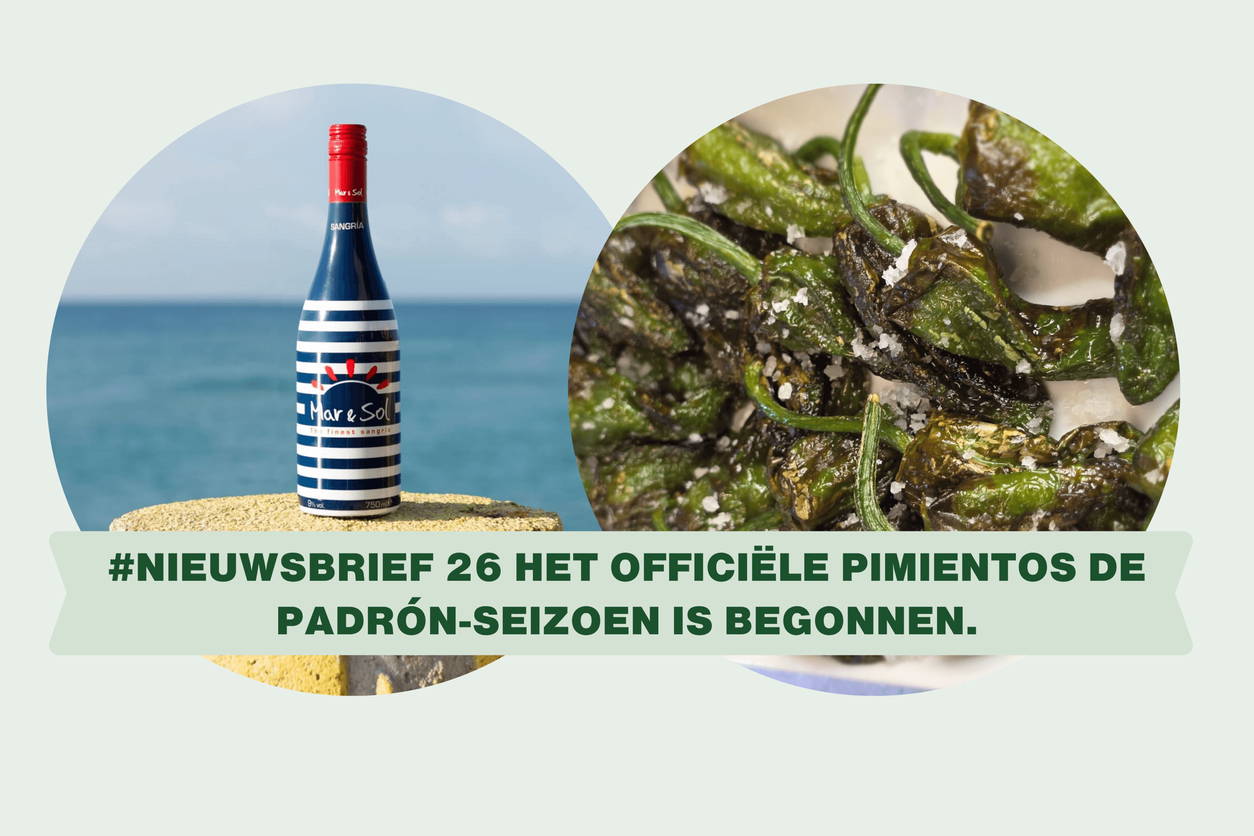 Het officiële seizoen van Pimientos de Padrón is weer aangebroken.